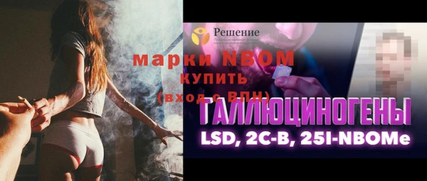 МДПВ Ветлуга